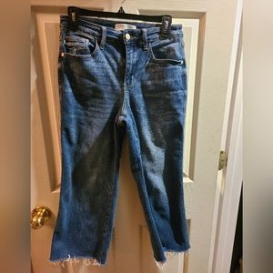 Judy Blue High Waist Wide Leg Crop Jeans